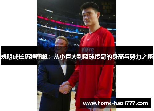 姚明成长历程图解：从小巨人到篮球传奇的身高与努力之路