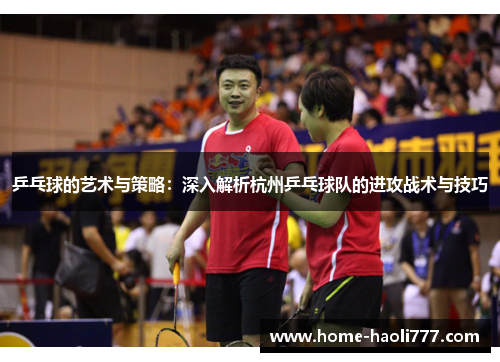 乒乓球的艺术与策略：深入解析杭州乒乓球队的进攻战术与技巧