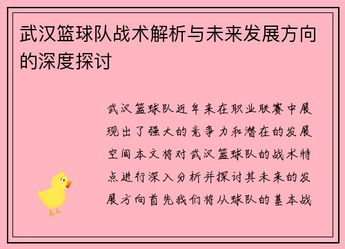 武汉篮球队战术解析与未来发展方向的深度探讨